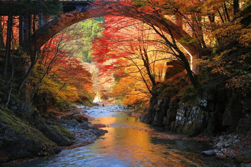 🌳 카누마 공원 (카누마 코엔) 이미지 8